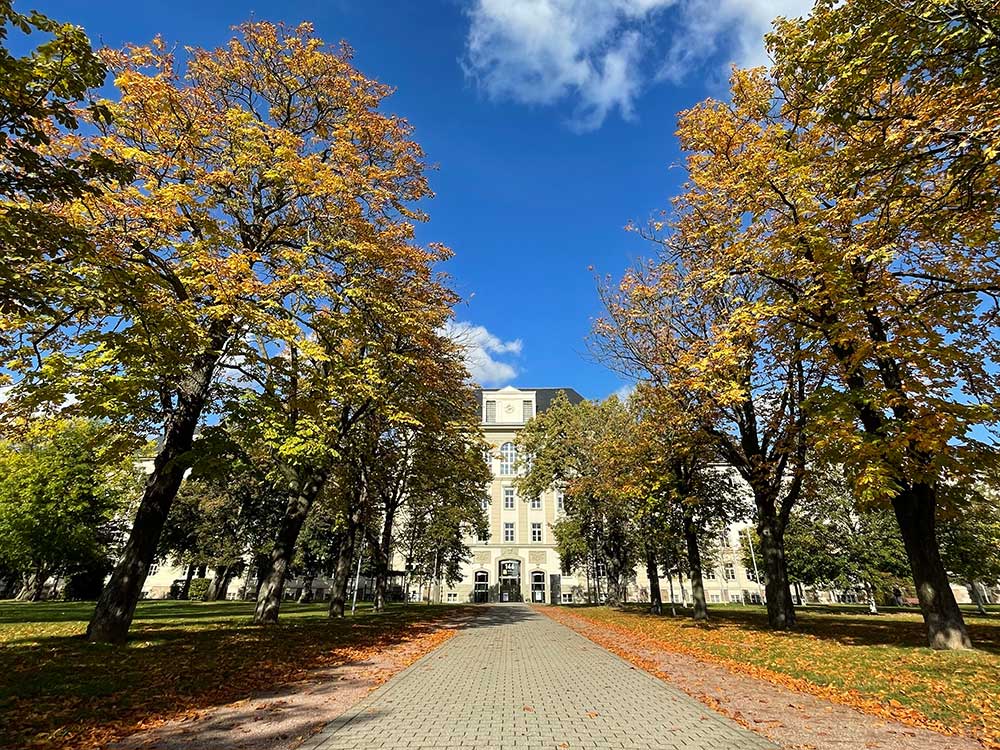 Weg zum Haupteingang der Deutschen Rentenversicherung Leipzig mit herbstlich gefärbtem Laub an den Bäumen und auf dem Weg